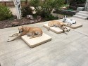 050_2017-05-21-IMG_0465.JPG