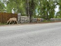02_IMG_0865.JPEG
