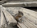 53_IMG_0940.JPEG