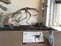 16_IMG_2964.JPEG