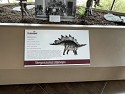 19_IMG_2970.JPEG