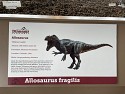 22_IMG_2974.JPEG