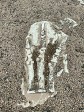 34_IMG_3005.JPEG