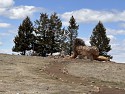044_IMG_7505.JPG