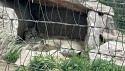 20_2025-06-22-1105-32-_IMG_0534-A.jpg
