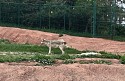 27_2025-06-22-1126-26-_IMG_7448-crop.jpg