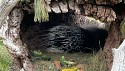 38_2025-06-22-1140-25-_IMG_0580-A.jpg