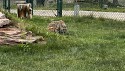 40_2025-06-22-1147-55-_IMG_0591.jpeg