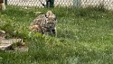 41_2025-06-22-1147-59-_IMG_0592.jpeg