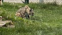 42_2025-06-22-1148-00-_IMG_0593.jpeg
