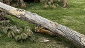 54_2025-06-22-1208-09-_IMG_0613.jpeg