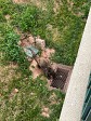 59_2025-06-22-1210-40-_IMG_7458.jpg
