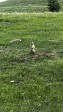 07_2025-06-22-1505-04-_IMG_0633.jpeg