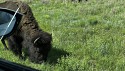 15_2025-06-22-1539-45-_IMG_0648.jpeg