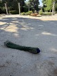 005_2026-06-09-1031-13.jpg